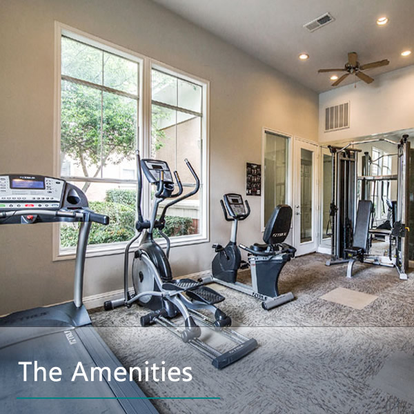 Features & Amenities