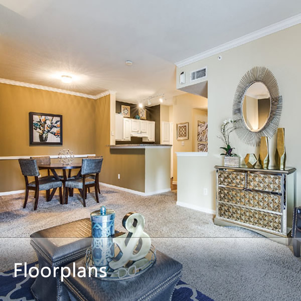 Spacious Floor Plans